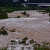 台風１０号の影響で牛９００頭孤立