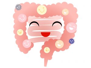 大腸