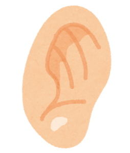 耳